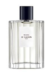 Le Galion - Tilleul