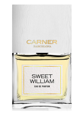 Carner Barcelona - Sweet William