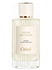 Chloe - Atelier Des Fleurs Rosa Damascena