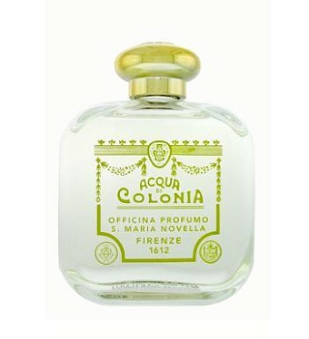 Santa Maria Novella - Violetta