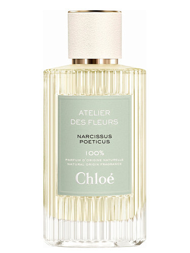 Chloe - Atelier Des Fleurs Narcissus Poeticus