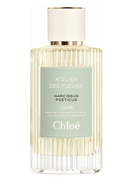 Chloe - Atelier Des Fleurs Narcissus Poeticus