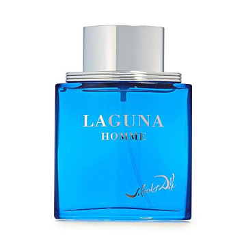 Salvador Dali - Laguna Homme