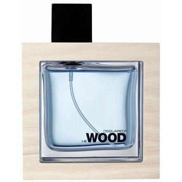 Dsquared2 - He Wood Ocean Wet Wood