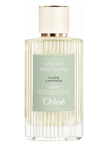 Chloe - Atelier Des Fleurs Ylang Cananga