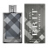 Brit for Men (Туалетная вода 100 мл)