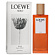 Solo Loewe Ella Eau de Parfum (Парфюмерная вода 50 мл)