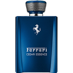 Ferrari - Cedar Essence