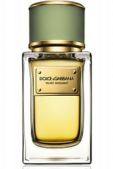 Dolce&Gabbana - Velvet Bergamot