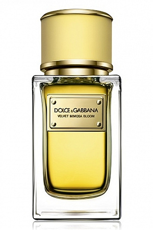 Dolce&Gabbana - Velvet Mimosa Bloom