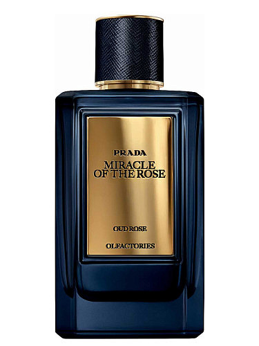 Prada - Olfactories Miracle Of The Rose
