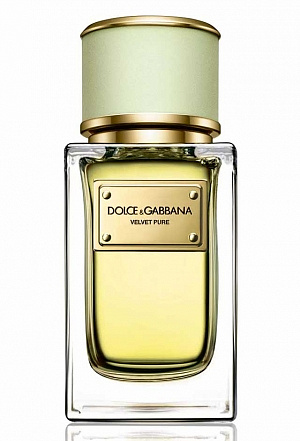 Dolce&Gabbana - Velvet Pure