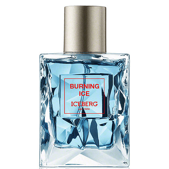 Iceberg - Burning Ice