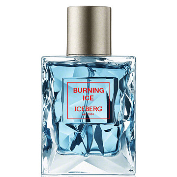 Iceberg - Burning Ice