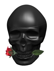 Christian Audigier - Ed Hardy Skulls & Roses for Him