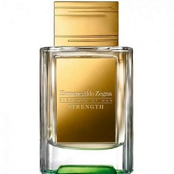 Ermenegildo Zegna - Strength